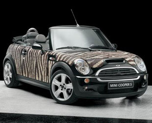 mini cooper вид спереди